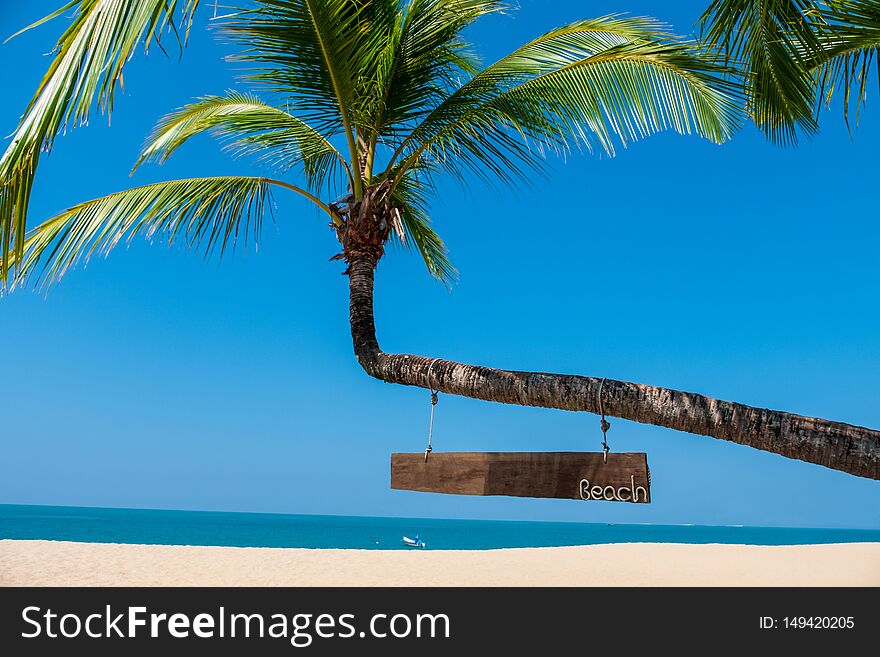 Landscape of coconut palm tree, Sandy beach with sea and blue sky background.