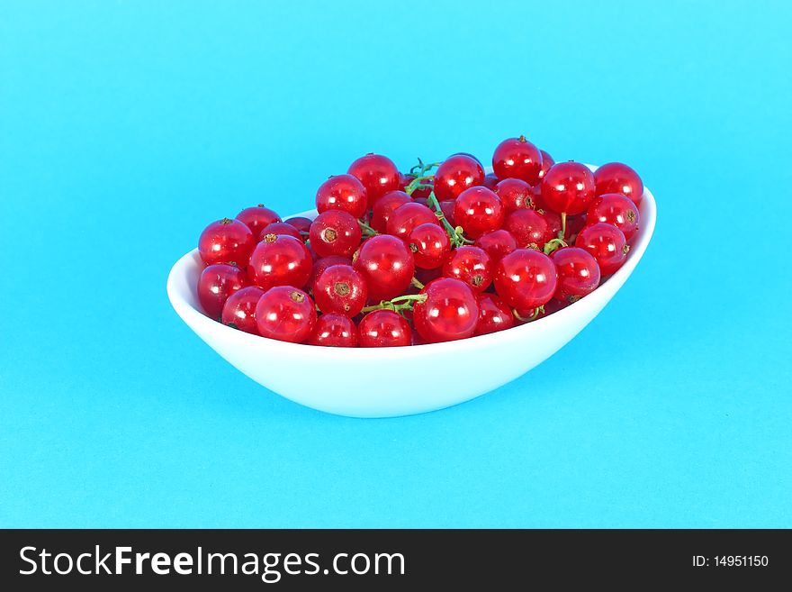 Red currant in white bowl isolated on blue background