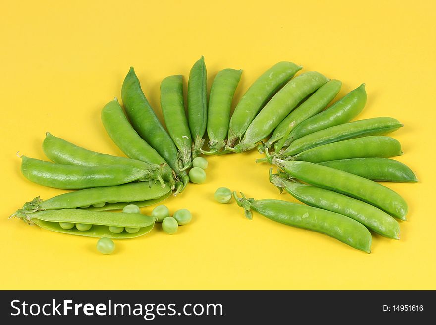 Green Pea on the yellow background