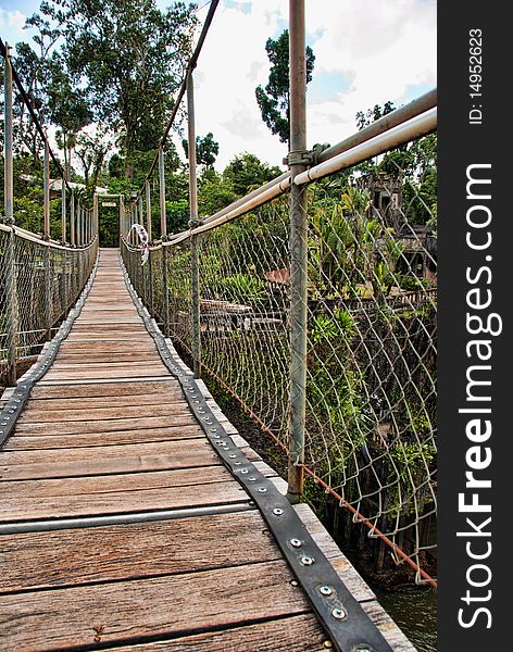 Paronella Park Vegetation in Queensland, Australia. Paronella Park Vegetation in Queensland, Australia