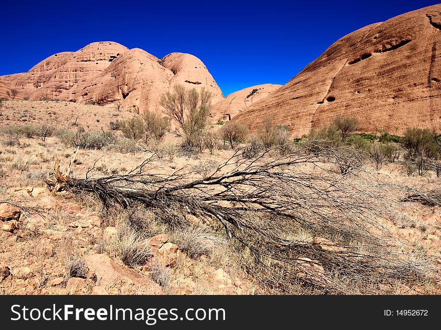 Bright and Sunny Day in the Australian Outback