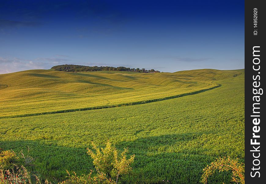 Tuscan Countryside, Italy