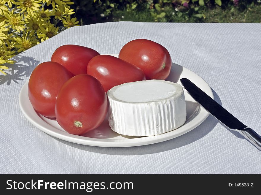 A slice of goats cheese and plum tomatoes outdoors in the garden. A slice of goats cheese and plum tomatoes outdoors in the garden