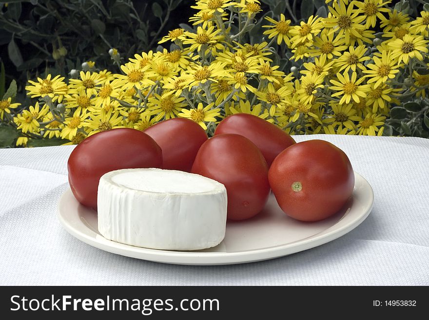 A slice of goats cheese and plum tomatoes outdoors in the garden. A slice of goats cheese and plum tomatoes outdoors in the garden