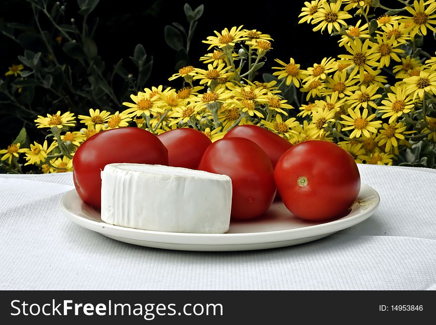 A slice of goats cheese and plum tomatoes outdoors in the garden. A slice of goats cheese and plum tomatoes outdoors in the garden