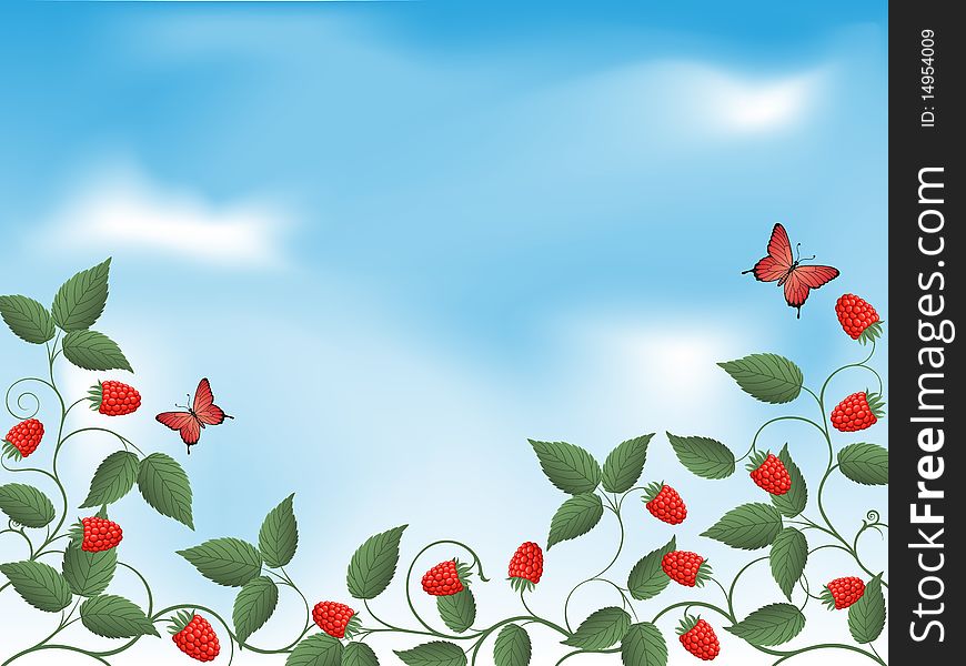 Floral background with a raspberry. Vector illustration.