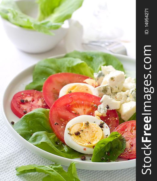 Salad from fresh tomatoes, lettuce, eggs and cheese on white plate. Salad from fresh tomatoes, lettuce, eggs and cheese on white plate