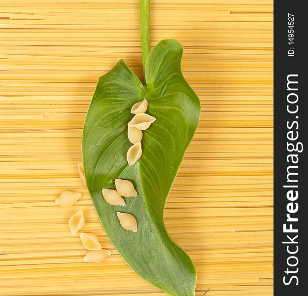 Shell Pasta and Large Leaf on Angel Hair Pasta. Shell Pasta and Large Leaf on Angel Hair Pasta