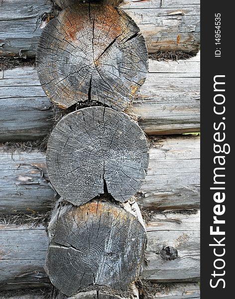 Background with texture of old gray wood