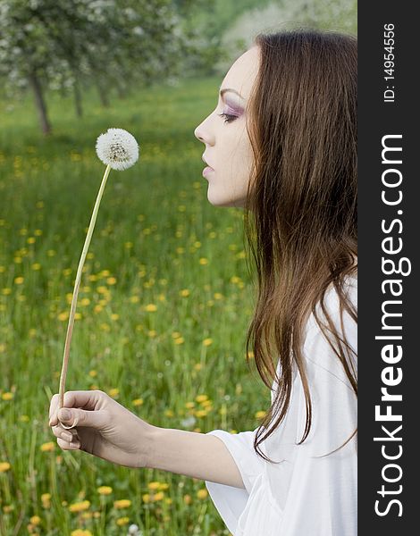 Young girl in a meadow with dandelion in the hands