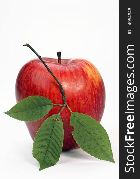 Red apple with green leaflets on a white background