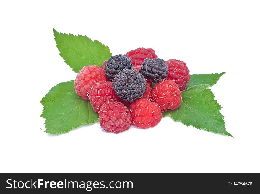 Raspberry and blackberry fruit with green leaves on a white background