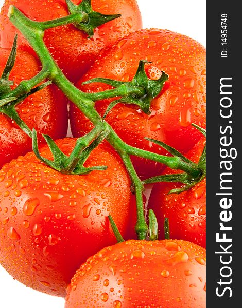 Red fresh tomatoes on white  backgrounds