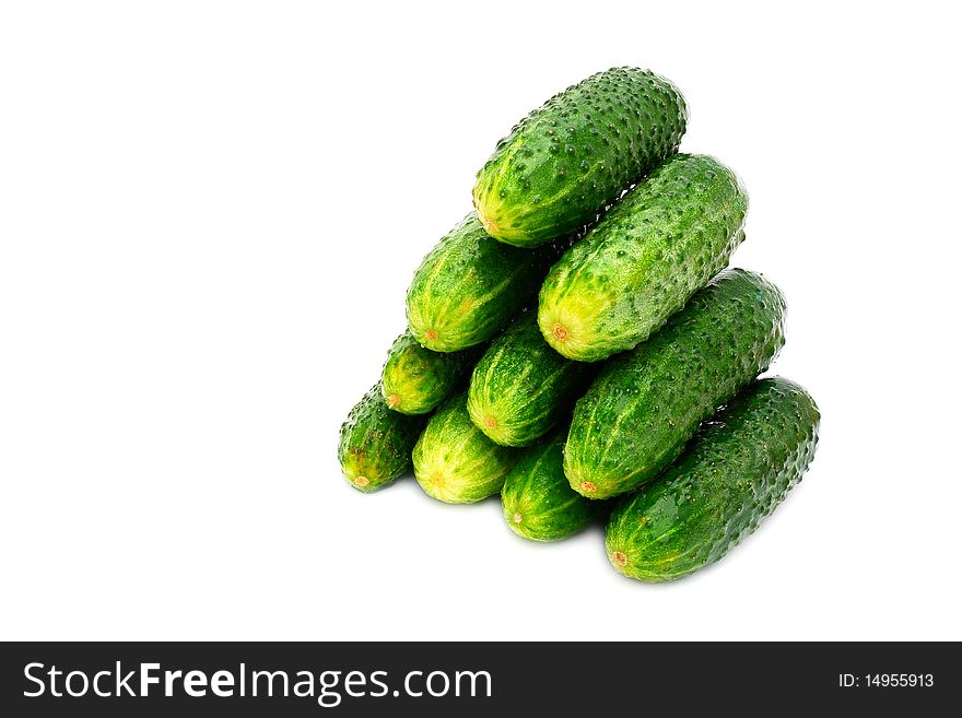 Green ripe cucumbers on a white background. Green ripe cucumbers on a white background