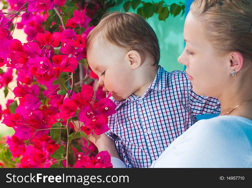 Child with mother admire flowers. Child with mother admire flowers