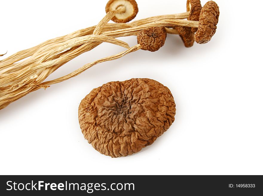 An image showing some dried oriental willow mushrooms, or brown tea tree mushrooms. Popularly used in chinese eastern cuisine, for stew, soups or salads. Vertical color format. Fragrant and exquisite flavor. Healthy food, high in protein and low in fat.