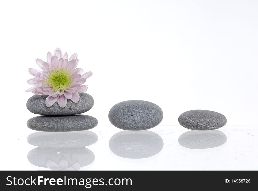 Flower and stack of spa pebbles with reflection