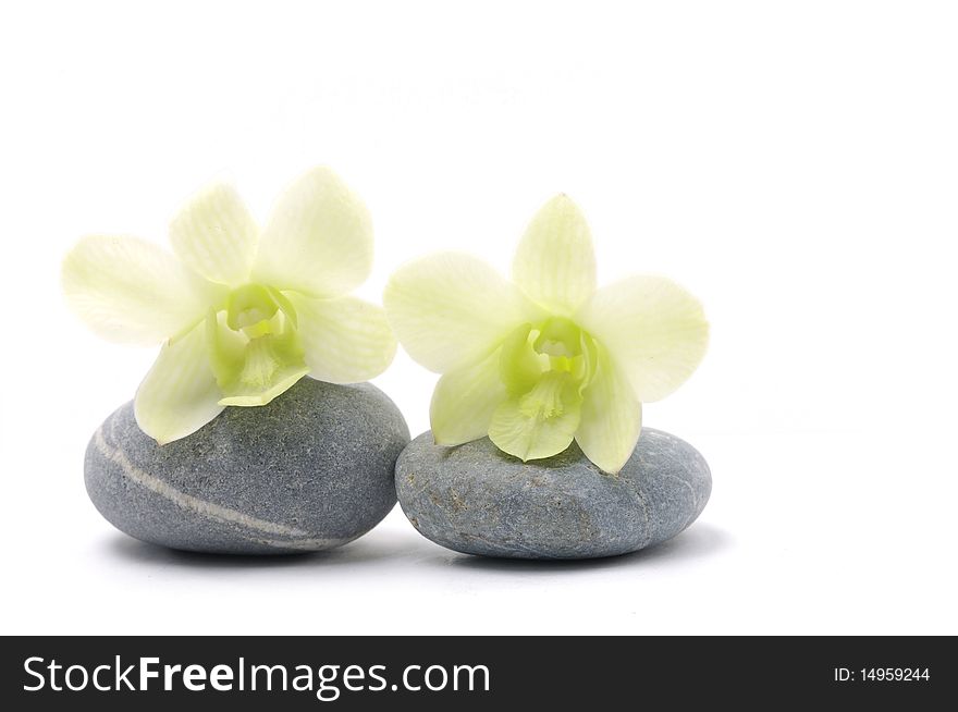Nature stones with white orchid. Nature stones with white orchid