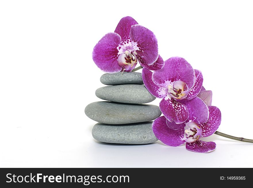 pink orchid with pyramid of stones. pink orchid with pyramid of stones