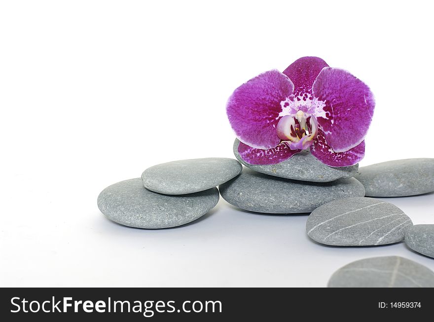 Pink orchid with pyramid of stones. Pink orchid with pyramid of stones