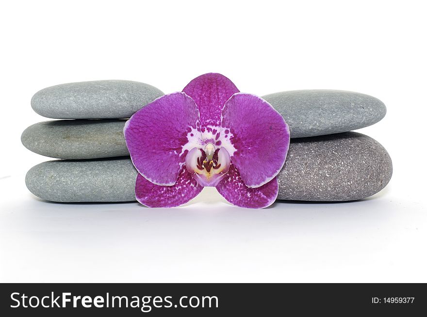 Stack stones and pink gladiola. Stack stones and pink gladiola