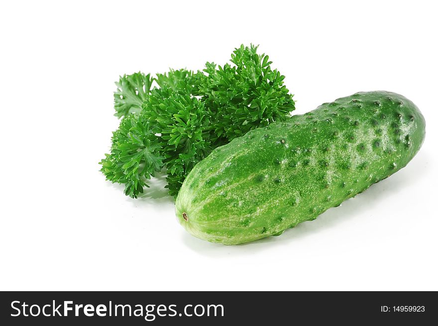 The cucumber with parsley foliage is isolated on a white background