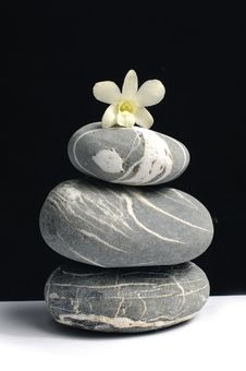 Still Of Life Royalty Free Stock Photography Still Of Life Royalty Free Stock Photography