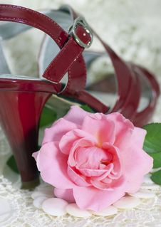 Pink Rose Against Female A Shoe Royalty Free Stock Photography