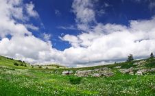 Green Meadow Royalty Free Stock Images Green Meadow Royalty Free Stock Images