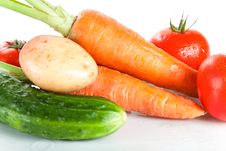 Close-up Shot Of Fresh Wet Vegetables Stock Image