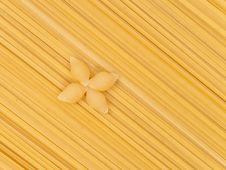 Pasta Shells Royalty Free Stock Image Pasta Shells Royalty Free Stock Image