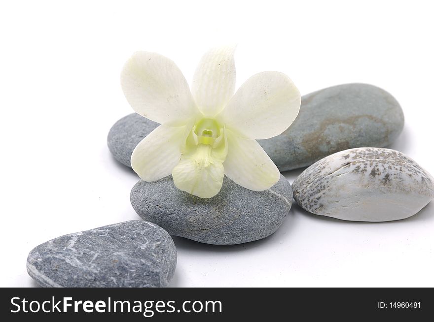 Zen stones with white orchid. Zen stones with white orchid