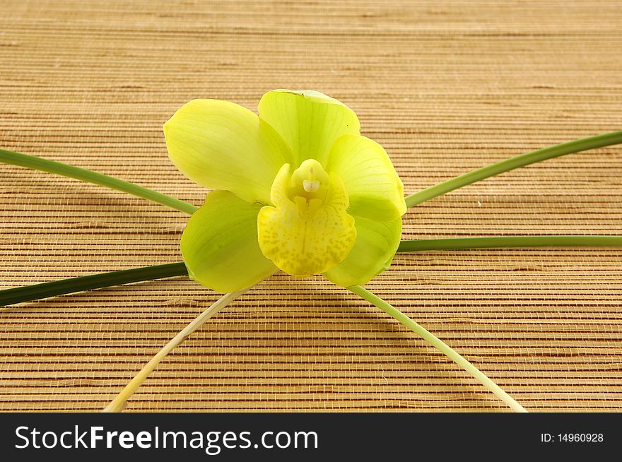 Orchid and thin bamboo on mat. Orchid and thin bamboo on mat