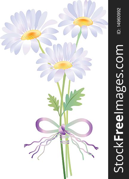 Three vector flowers camomile isolated on white background