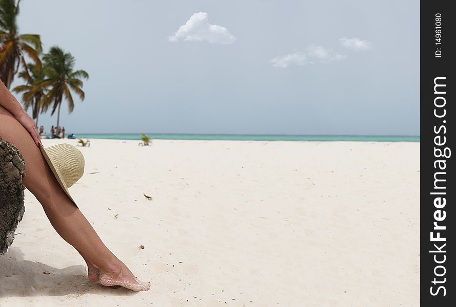 Girl sitting on the beach tree and holding a hat