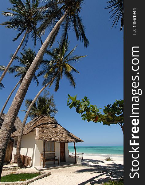 Beach on the coast of Zanzibar