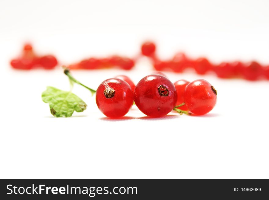 Berries of the red currant with branch on white background