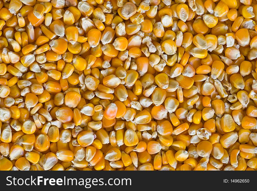 This picture is the corn background