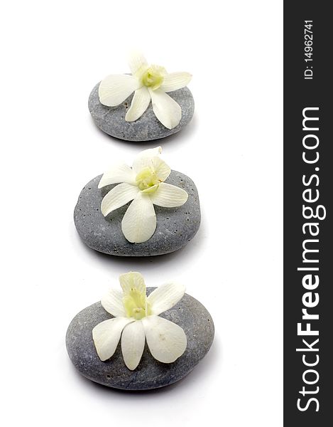 Orchid flower with zen stones. Orchid flower with zen stones