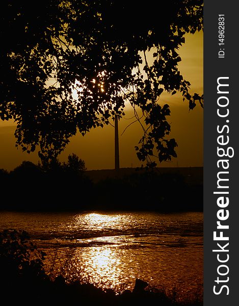 A river sunset with black tree