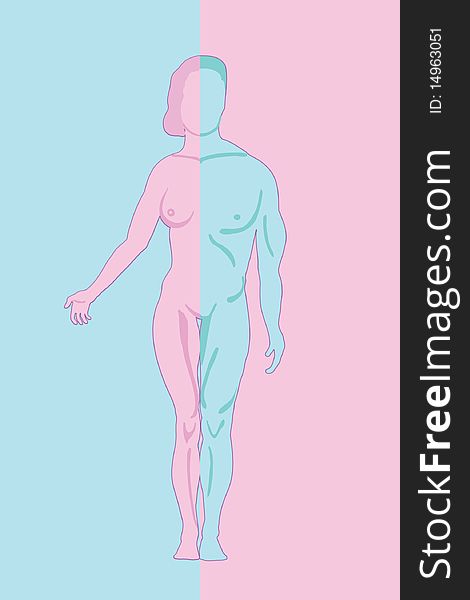 A human figure, consisting of male and female. Against the background of pink and blue background.All the objects on separate layers, easily editable. A human figure, consisting of male and female. Against the background of pink and blue background.All the objects on separate layers, easily editable.