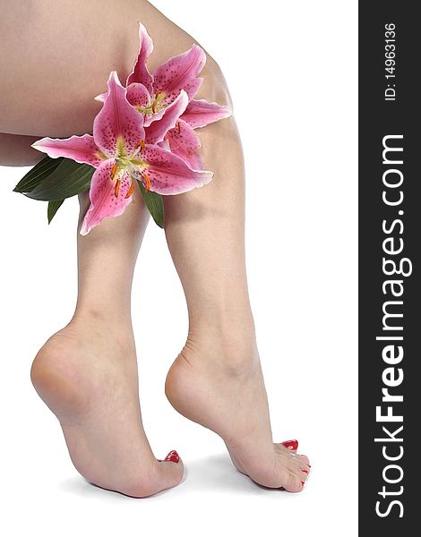 Beautiful woman legs  and flowers  over white. Beautiful woman legs  and flowers  over white