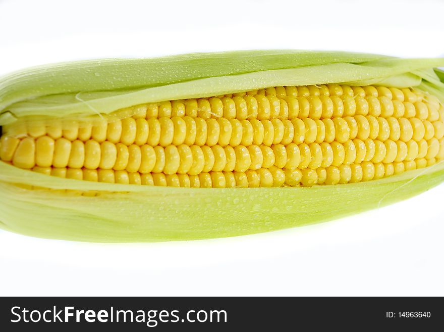 Fresh closeup corn on insulated white background. Fresh closeup corn on insulated white background