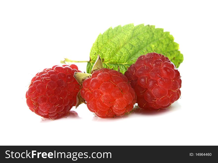 Ripe juicy raspberry isolated on white background