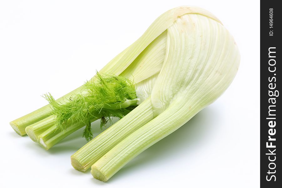 Ripe fennel isolated on a white background.
