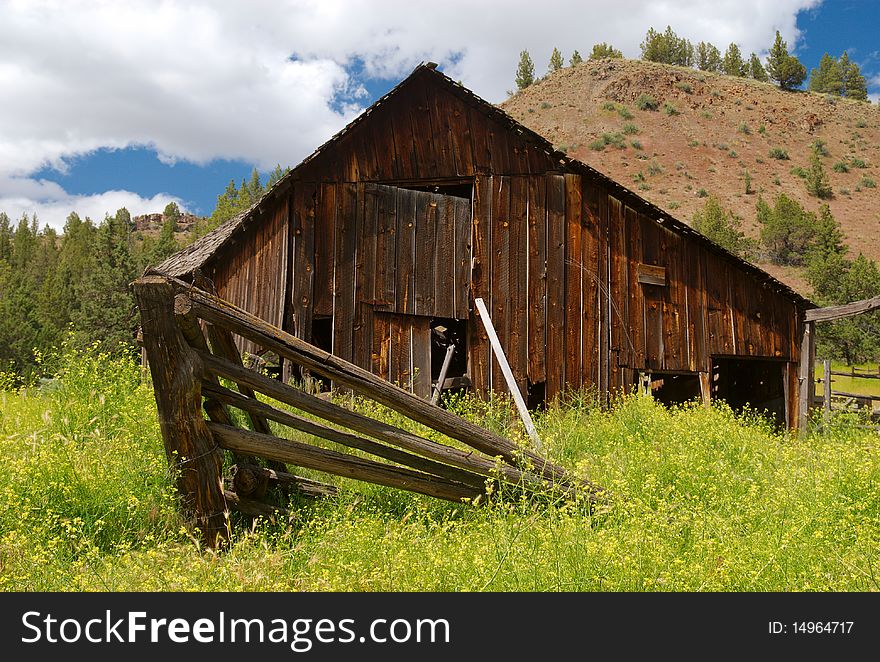 Barn, Fence, And Wildflowers
