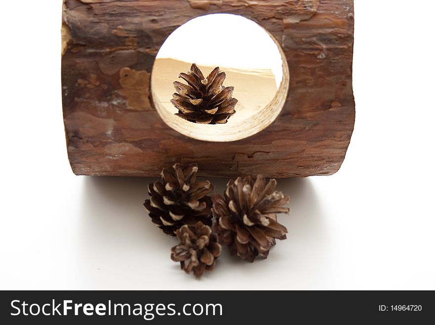 Fir cone with wood