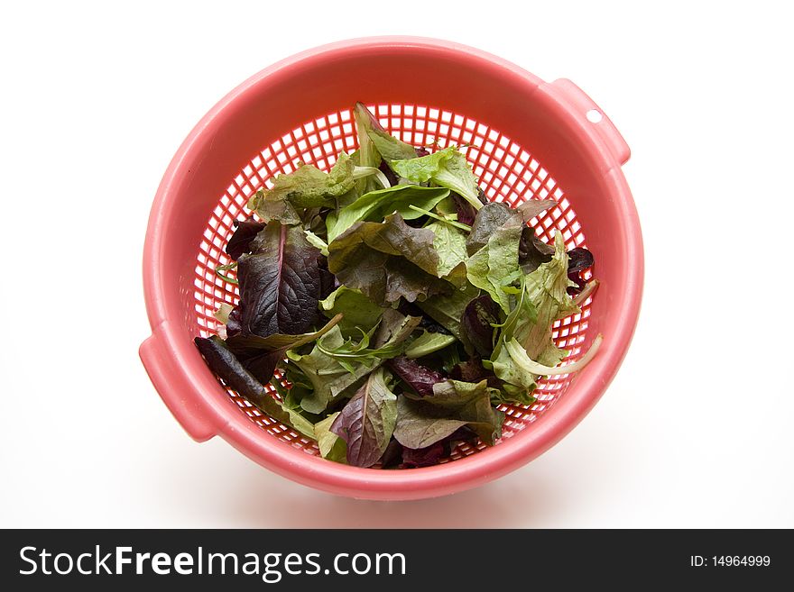 Fresh salad in the kitchen sieve