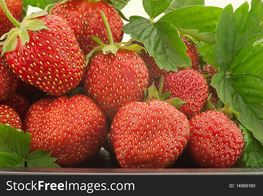 Heap of a lot of fresh red strawberries