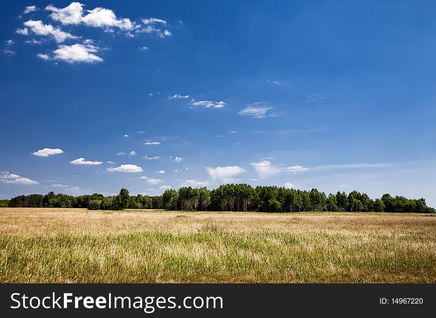 Green fields and woods on a background of blue sky. Green fields and woods on a background of blue sky
